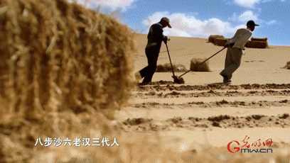 【奮進(jìn)的中國精神】八步沙三代治沙人：用“白頭”換綠洲，再平凡也偉大！