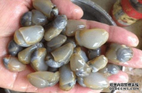 樣子很丑的4種海鮮，味道卻好到讓人“上癮”, 可惜識(shí)貨的人不多