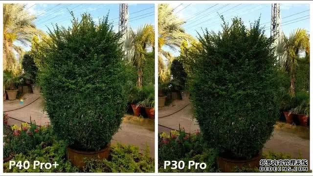 華為P40Pro＋和華為P30Pro拍照對比：都是旗艦到底要不要升級？