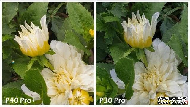 華為P40Pro＋和華為P30Pro拍照對比：都是旗艦到底要不要升級？