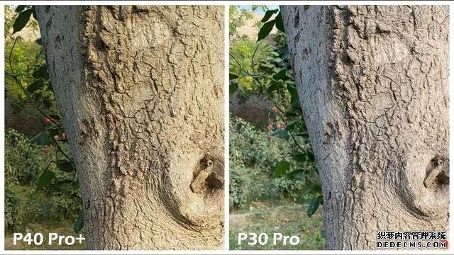 華為P40Pro＋和華為P30Pro拍照對比：都是旗艦到底要不要升級？