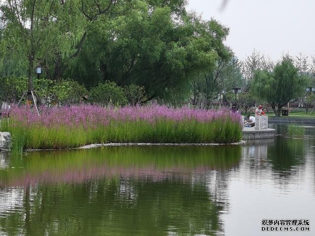 華為P40夏日實(shí)拍體驗(yàn)：色彩更加真實(shí)，低ISO下噪聲更少