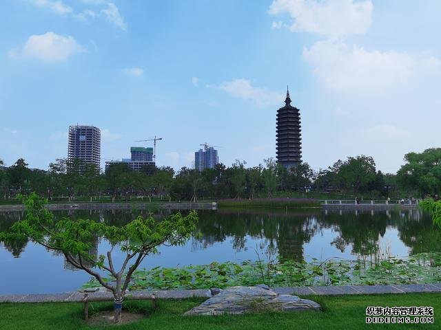 華為P40夏日實(shí)拍體驗(yàn)：色彩更加真實(shí)，低ISO下噪聲更少