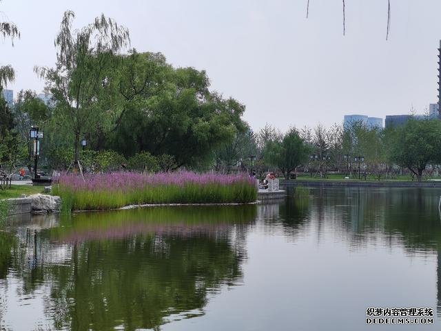 華為P40夏日實(shí)拍體驗(yàn)：色彩更加真實(shí)，低ISO下噪聲更少