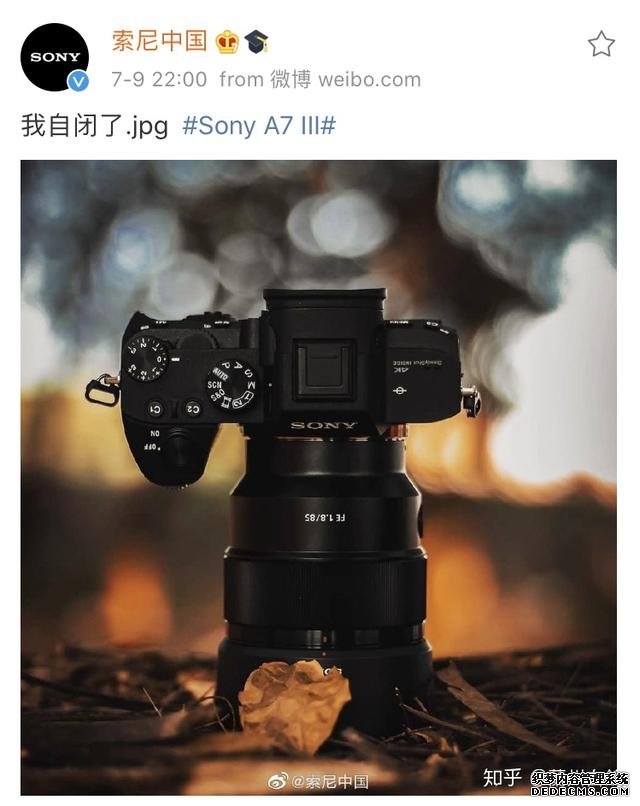 能讓索尼自閉的佳能相機，是手機逼出來的？
