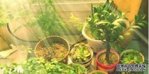 十種健康的養(yǎng)生方式！（建議永久堅持）
