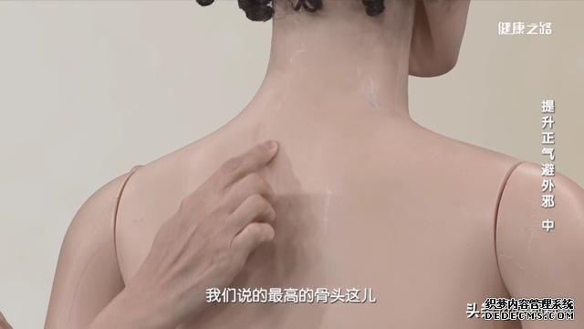 巧祛痰濕，增強抗病力，“兩點一面”是關(guān)鍵