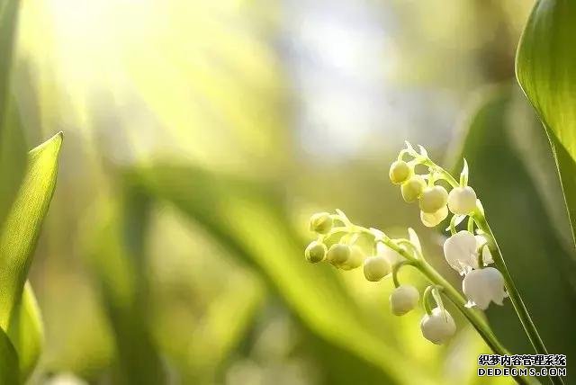 心理健康的十個要點(diǎn)