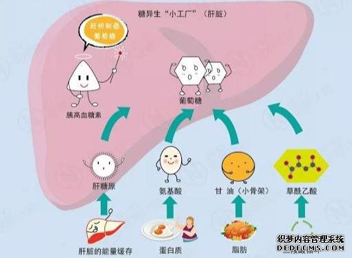 現(xiàn)代人的健身問題溯源：我的心理狀態(tài)早已追不上刻苦訓(xùn)練的自己