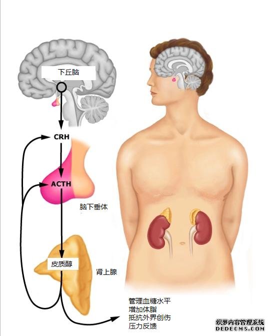 現(xiàn)代人的健身問題溯源：我的心理狀態(tài)早已追不上刻苦訓(xùn)練的自己