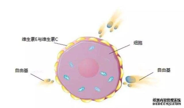 阿黛爾換人演了嗎？200斤的體重減掉一半變紙片人，怎么做到的