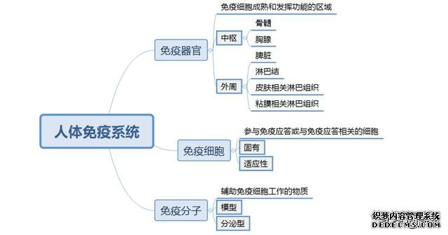 阿黛爾換人演了嗎？200斤的體重減掉一半變紙片人，怎么做到的