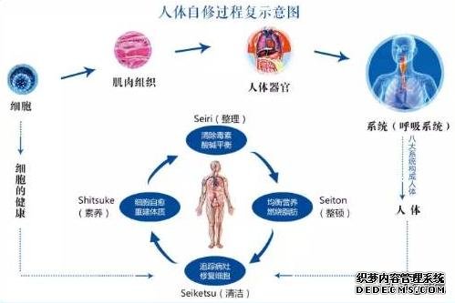 阿黛爾換人演了嗎？200斤的體重減掉一半變紙片人，怎么做到的