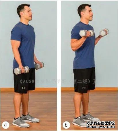 健身房10個(gè)力量訓(xùn)練動(dòng)作教程，詳細(xì)講解，很適合初學(xué)者學(xué)習(xí)