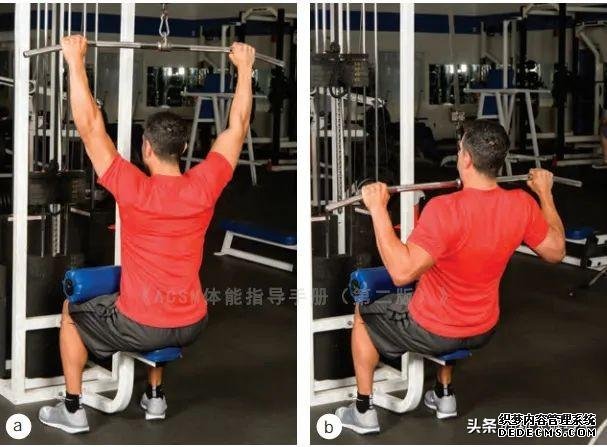 健身房10個(gè)力量訓(xùn)練動(dòng)作教程，詳細(xì)講解，很適合初學(xué)者學(xué)習(xí)