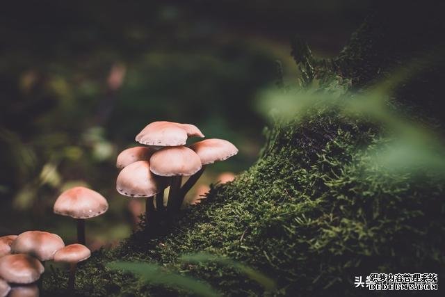 7種心理暗示，讓你保持健康心態(tài)