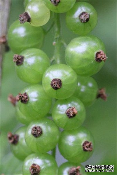 養(yǎng)養(yǎng)生好時候！堅(jiān)持4件事，身體更健康