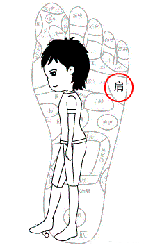 簡單的養(yǎng)生操，每日鍛煉十分鐘，遠離職業(yè)病，越來越健康！