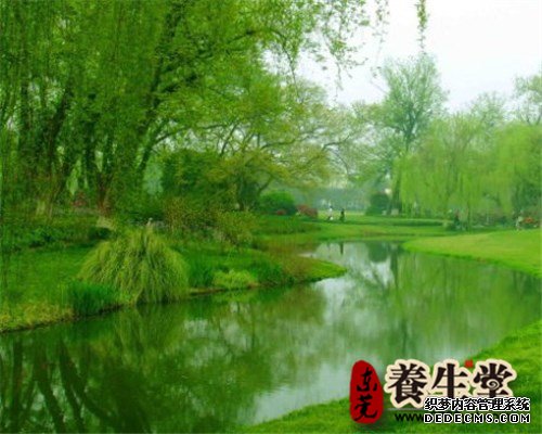 一鍵完成，你的四季健康養(yǎng)生管理