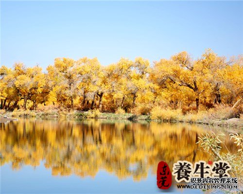 一鍵完成，你的四季健康養(yǎng)生管理