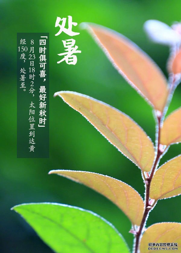 秋季如何養(yǎng)生？中醫(yī)專家告訴你應(yīng)該這樣管理自己的身體健康