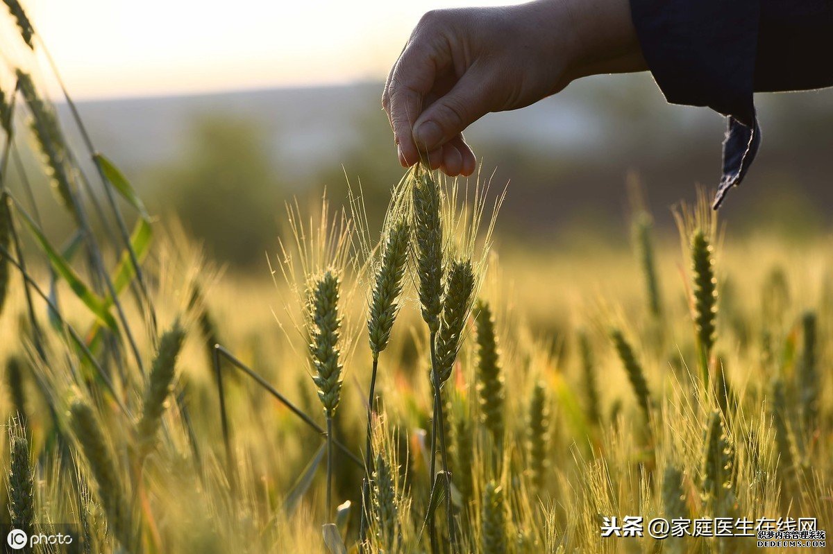 小滿節(jié)氣：養(yǎng)生牢記這幾個要點，健康一整個夏天