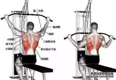 健身過程中，如何讓訓(xùn)練更高效？提高意識(shí)與肌肉的聯(lián)系，才是關(guān)鍵