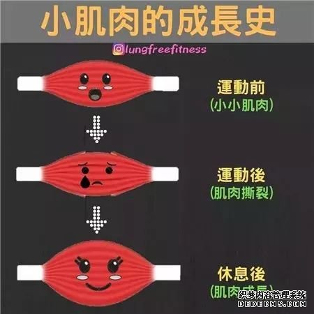 22條健身知識(shí)，認(rèn)真看完相當(dāng)于上了一節(jié)私教課