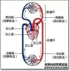 后疫情時代的自我重構:養(yǎng)心3.0-4D保健