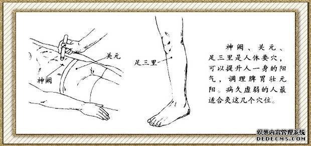 細(xì)說(shuō)“足三里”，保健排第一