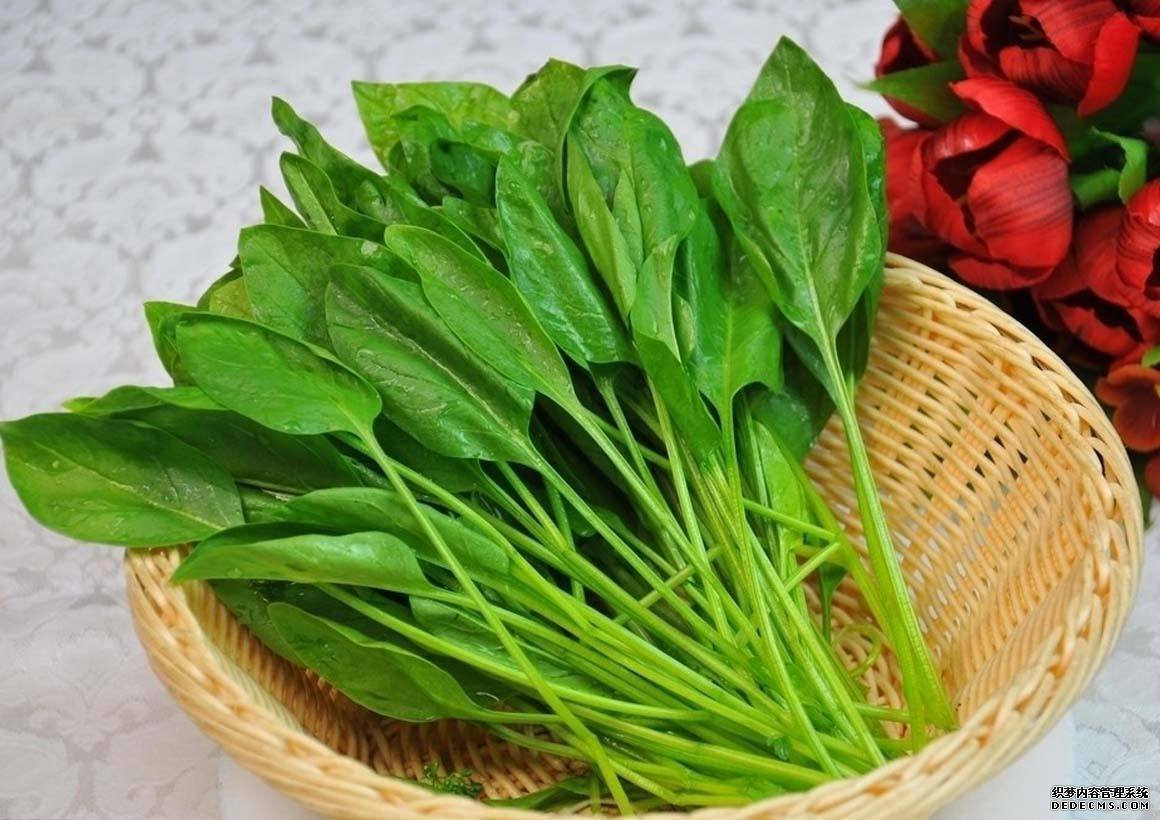 這5大調(diào)養(yǎng)方法，可有效調(diào)養(yǎng)女性血虛，掌握一個(gè)也是極好的