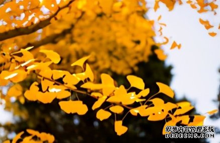 寒露后，抓緊時間收斂陽氣，不要錯過一年一次改善體虛的機(jī)會
