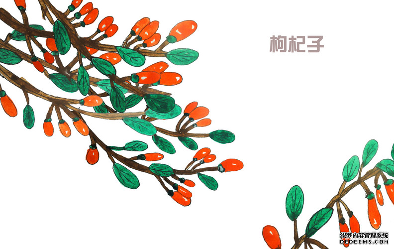 吃枸杞可以長壽，但是您吃對了嗎？