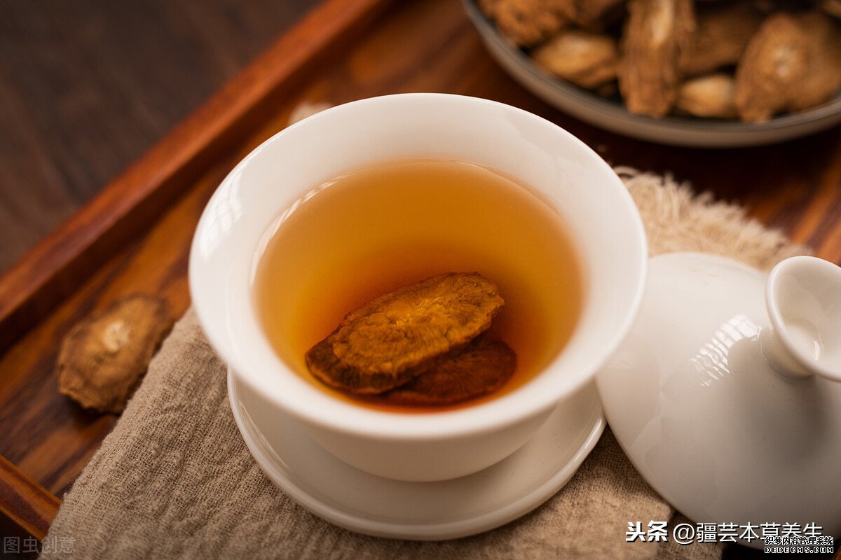 牛蒡根泡茶味道如何？制作一杯清熱解毒牛蒡菊花茶