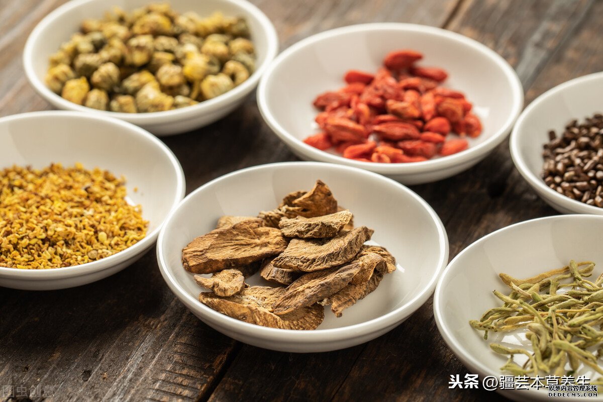 牛蒡根泡茶味道如何？制作一杯清熱解毒牛蒡菊花茶