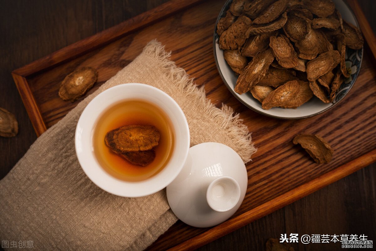 牛蒡根泡茶味道如何？制作一杯清熱解毒牛蒡菊花茶