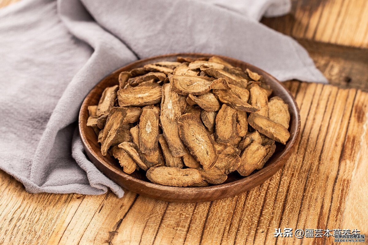 牛蒡根泡茶味道如何？制作一杯清熱解毒牛蒡菊花茶