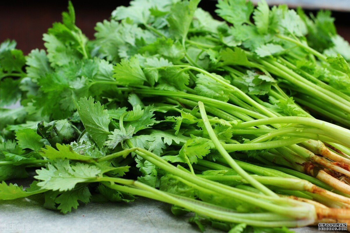 7種蔬菜有點難吃，但營養(yǎng)價值高，對健康有好處，希望你別嫌棄
