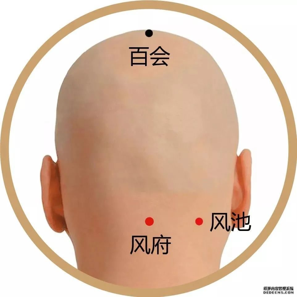 常按這兩個(gè)人體的防風(fēng)穴，對治療頭頸部疾病都很有療效
