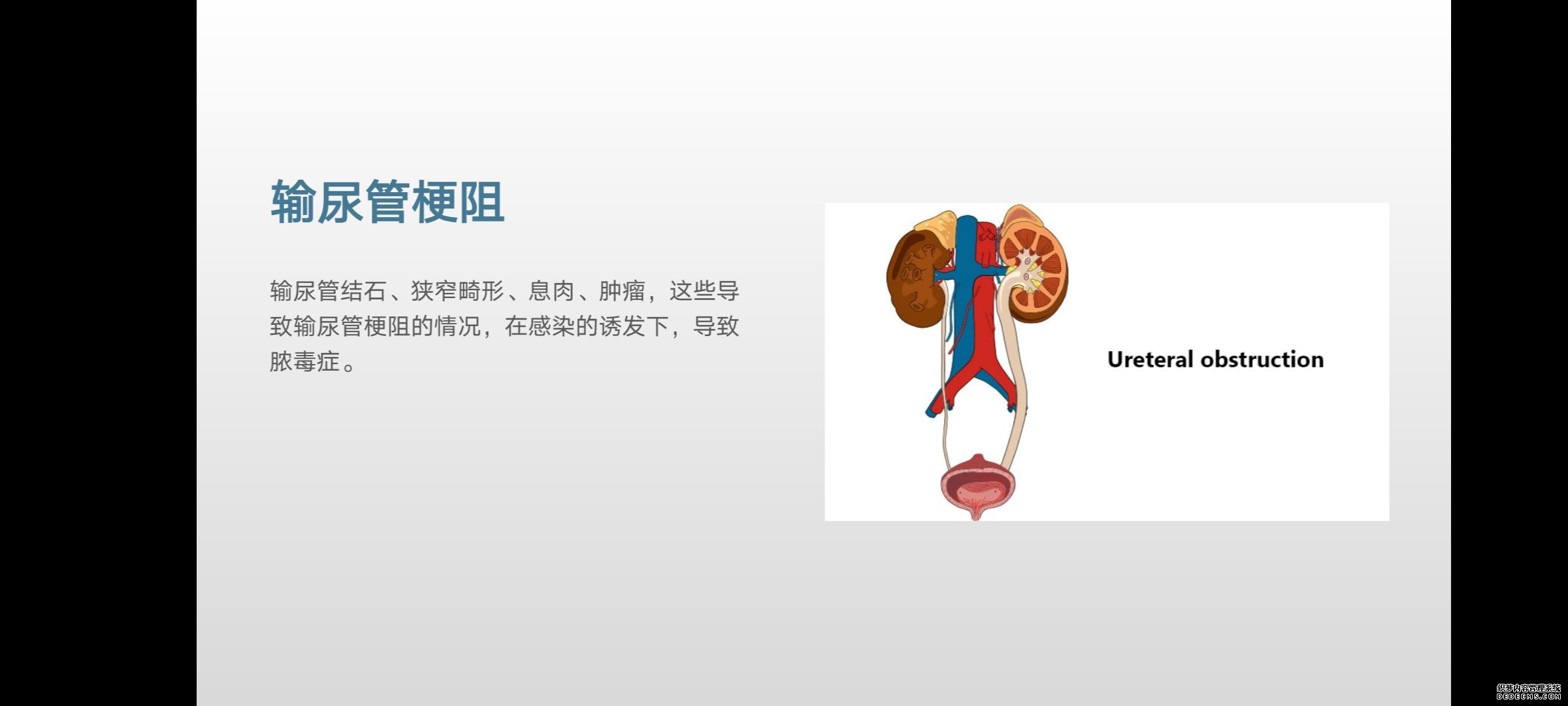 小病要人命！