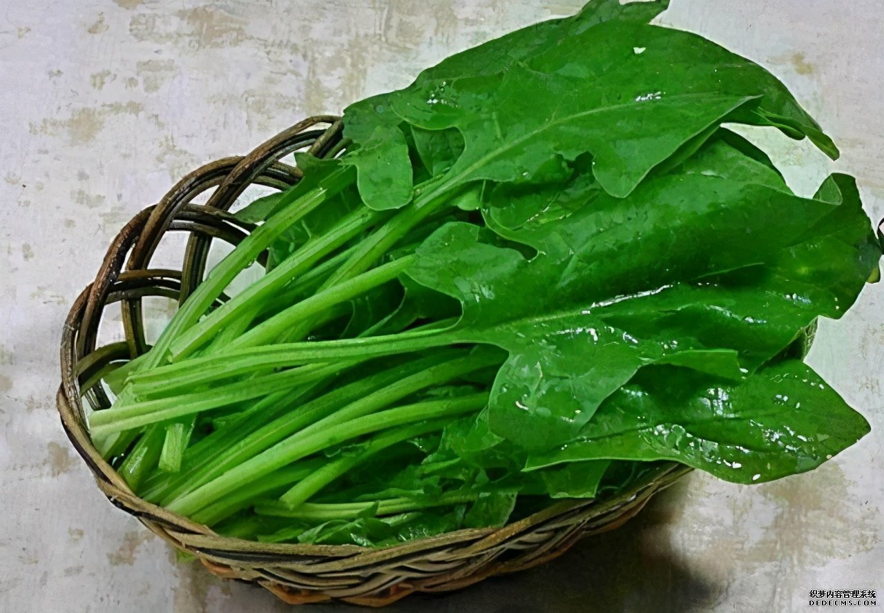 眼睛常常出現(xiàn)“酸痛”？多吃這些“食物”，遠(yuǎn)離疲勞與干澀