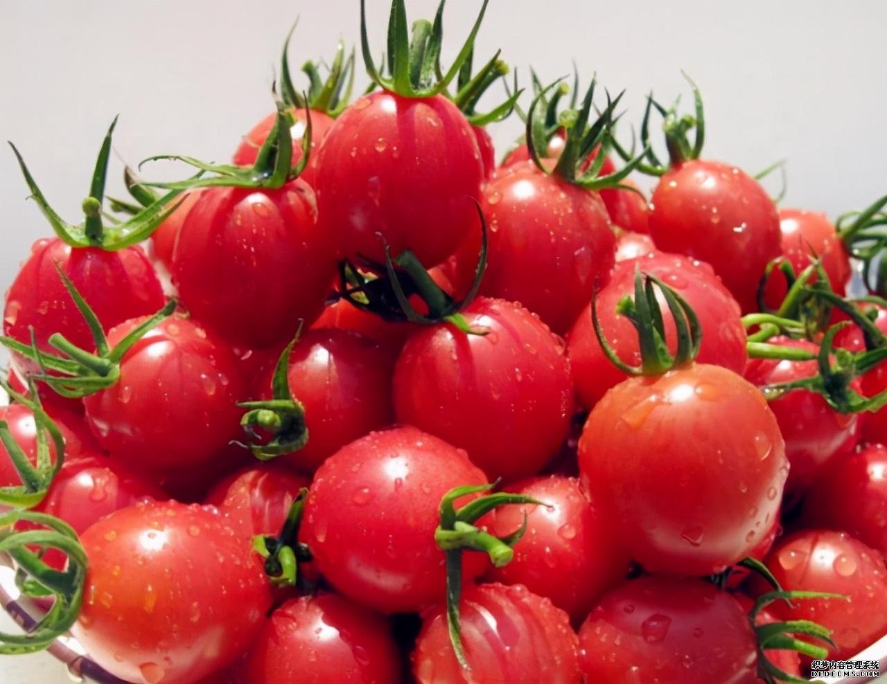 眼睛常常出現(xiàn)“酸痛”？多吃這些“食物”，遠(yuǎn)離疲勞與干澀