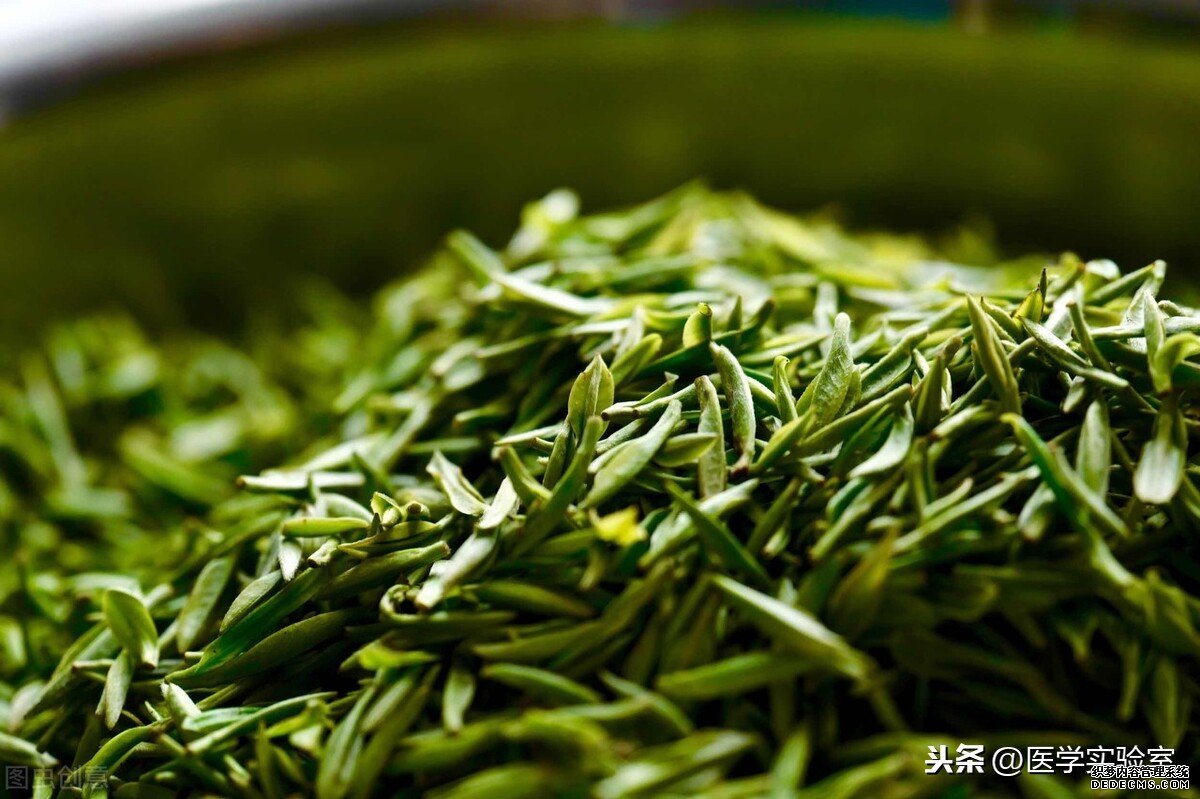 喝茶的“六大禁忌”，會喝茶也要懂茶，不讓茶傷害到自己