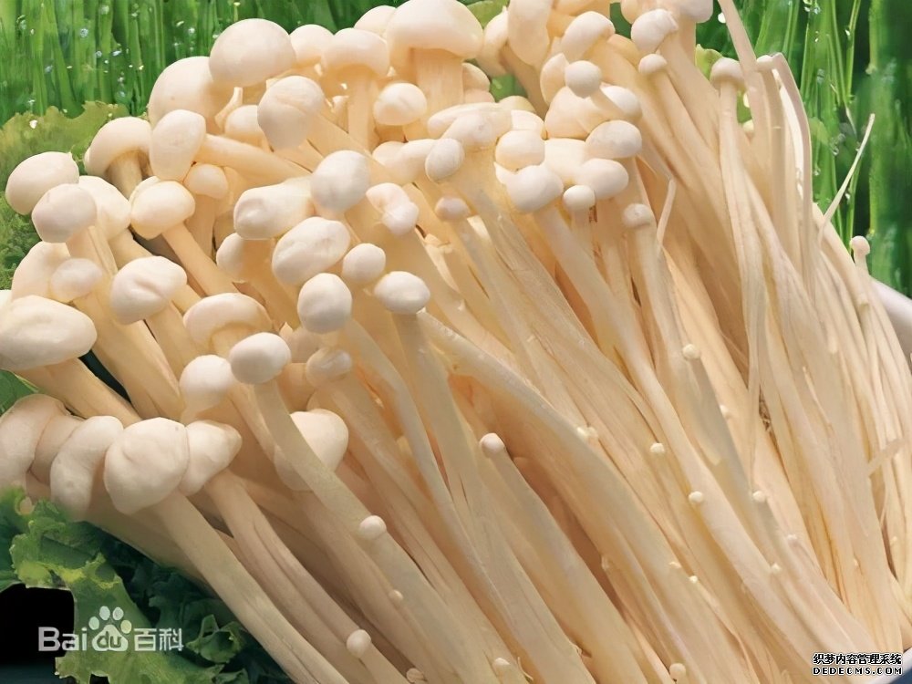 這些食物吃起來有風(fēng)險，一定要當(dāng)心。