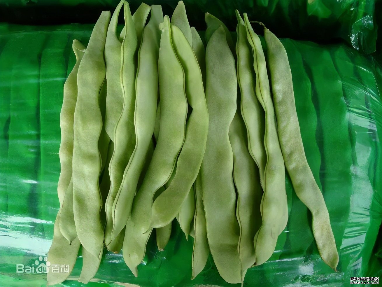 這些食物吃起來有風(fēng)險，一定要當(dāng)心。